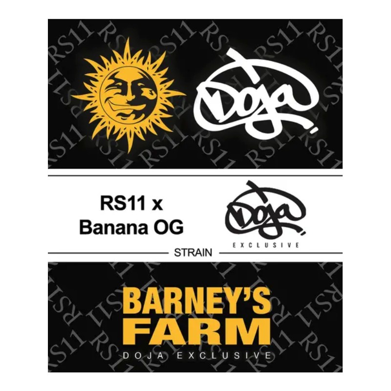 RS11 X BANANA OG · Barneys Farm · semillas de marihuana · Fem