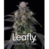 SUPER BOOF · Barneys Farm · cannabis seeds · Fem
