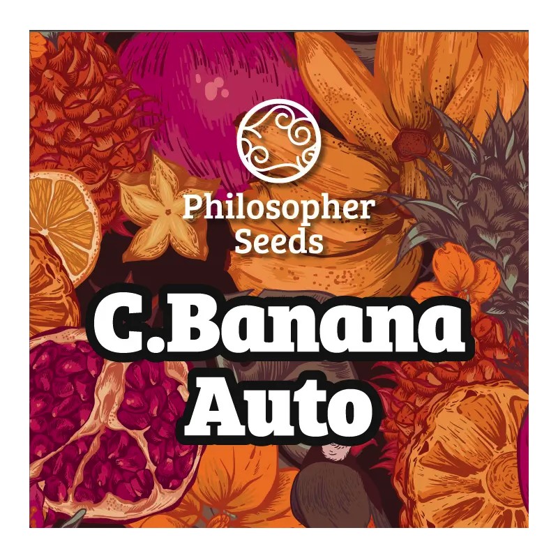 C BANANA AUTO · Philosopher Seeds · semillas de marihuana · AutoFem