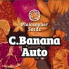 C BANANA AUTO · Philosopher Seeds · semillas de marihuana · AutoFem