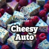 CHEESY AUTO · Philosopher Seeds · semillas de marihuana · AutoFem