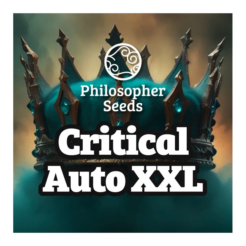 CRITICAL AUTO XXL · Philosopher Seeds · cannabis seeds · AutoFem