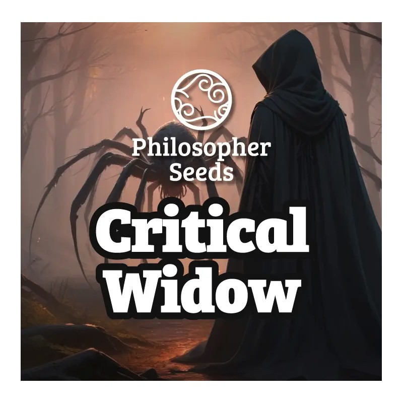 CRITICAL WIDOW · Philosopher Seeds · cannabis seeds · Fem