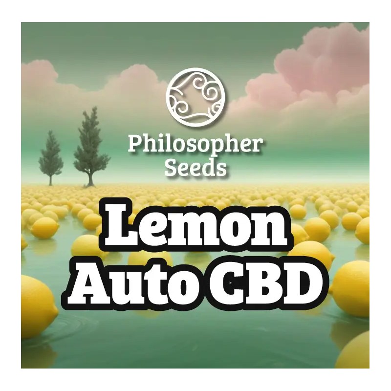 LEMON AUTO CBD · Philosopher Seeds · cannabis seeds · AutoFem