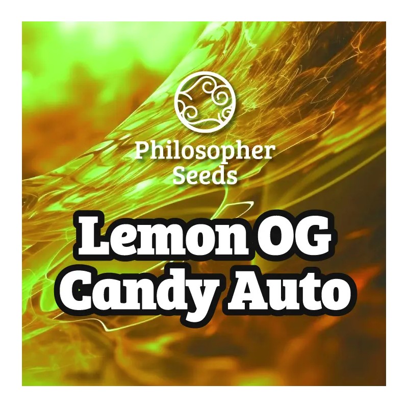 LEMON OG CANDY AUTO · Philosopher Seeds · semillas de marihuana · AutoFem
