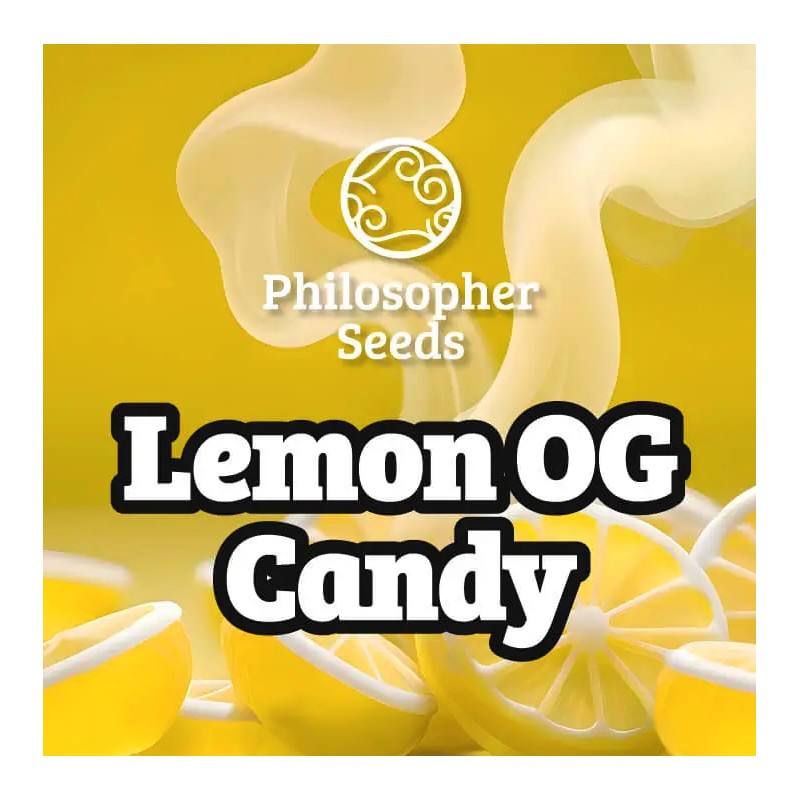 LEMON OG CANDY · Philosopher Seeds · semillas de marihuana · Fem