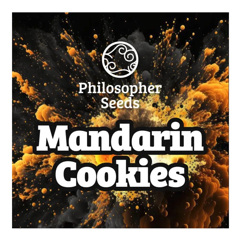 MANDARINE COOKIES · Philosopher Seeds · semillas de marihuana · Fem