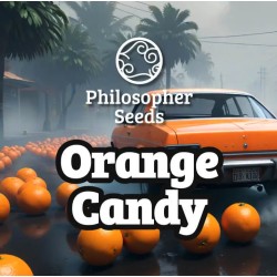 ORANGE CANDY  · Philosopher...