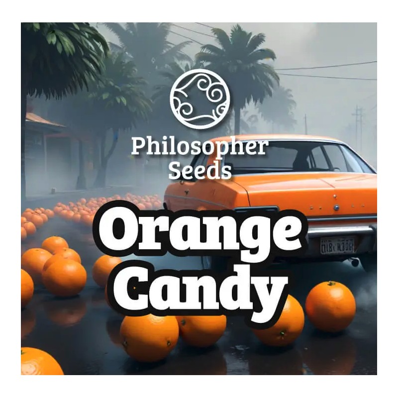 ORANGE CANDY  · Philosopher Seeds · semillas de marihuana · Fem
