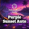 PURPLE SUNSET AUTO · Philosopher Seeds · cannabis seeds · AutoFem