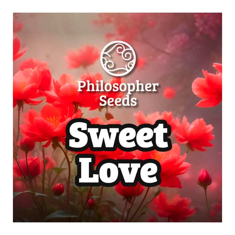 SWEETLOVE · Philosopher Seeds · cannabis seeds · Fem