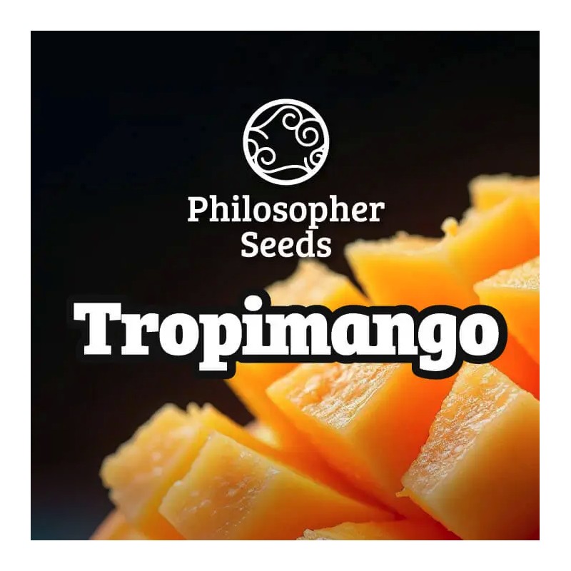 TROPIMANGO · Philosopher Seeds · semillas de marihuana ·  Fem