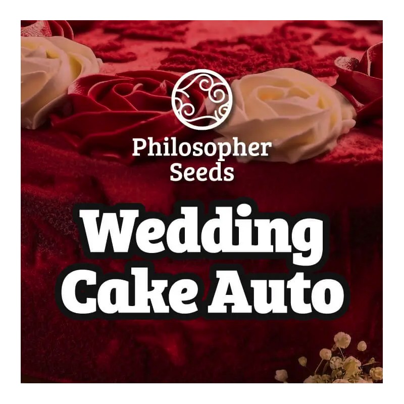WEDDING CAKE AUTO · Philosopher Seeds · semillas de marihuana · AutoFem