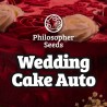 WEDDING CAKE AUTO · Philosopher Seeds · semillas de marihuana · AutoFem