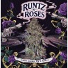 RUNTZ N´ROSES · TH Seeds · semi di canapa · Fem