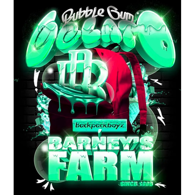 BUBBLEGUM GELATO · Barneys Farm · semi di canapa · Fem