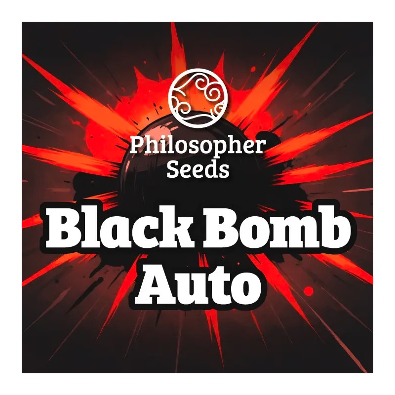 BLACK BOMB AUTO · Philosopher Seeds · semillas de marihuana · AutoFem
