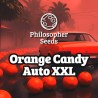 ORANGE CANDY AUTO XXL · Philosopher Seeds · semi di canapa indiana · AutoFem