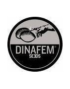 Dinafem Seeds