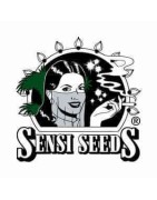 Sensi Seeds