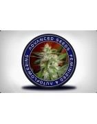 Advanced Seeds