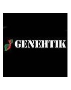 Genehtik