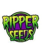 Ripper Seeds