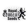 Royal Queen Seeds